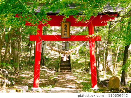 Red torii Red torii 119656942