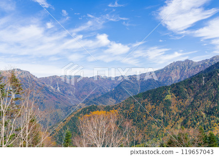 山頂森林 - 從矢裡迴廊眺望矢裡岳(岐阜縣高山市奧飛驒溫泉村) 山頂森林 - 從矢裡迴廊眺望矢裡岳(岐阜縣高山市奧飛驒溫泉村) 119657043