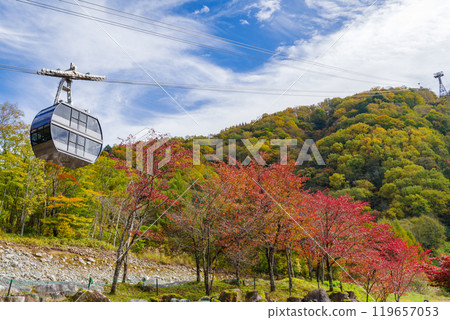 紅葉的新穗高索道（岐阜縣高山市奧飛驒溫泉鄉） 119657053