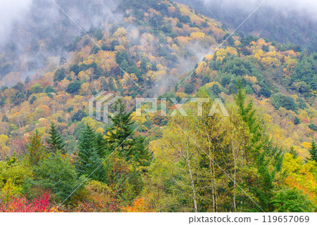 平湯的紅葉（岐阜縣高山市奧飛驒溫泉鄉） 119657069