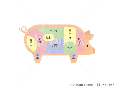 Illustrations of pork parts 119658167