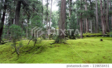 Heizenji寺白山神社 Heizenji寺白山神社 119658431