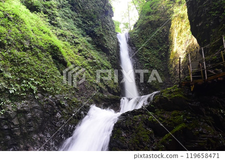 Mycelen's waterfall 119658471