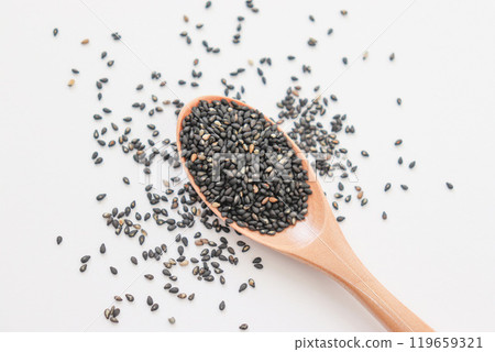 黑芝麻的圖像 119659321