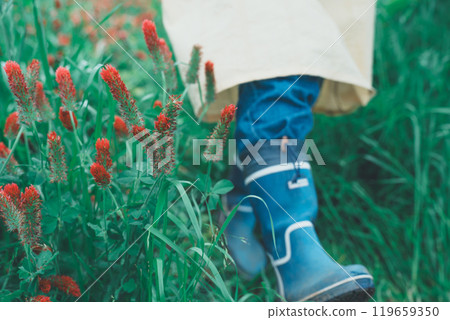 Strawberry candle flower picking Strawberry candle flower picking 119659350