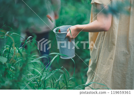 Strawberry candle flower picking 119659361