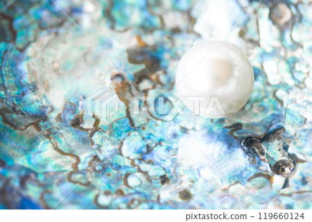 Shells and imitation pearls 119660124