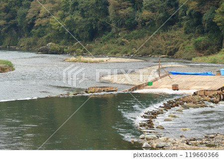 Nakagawa River Tourist Fishing Yard: Wild Ayu Fishing Yard: Traditional Ayu Fishing Method 119660366