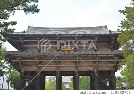 Nara · Todaiji Temple 119660705