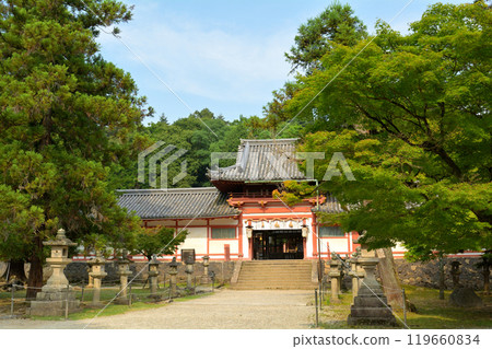 Nara · Todaiji Temple 119660834