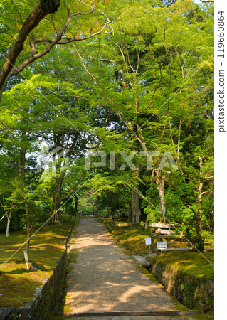 Nara Manyo Botanical Garden 119660864