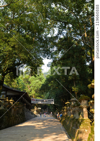 Nara · Kasuga Taisha Nara · Kasuga Taisha 119660888