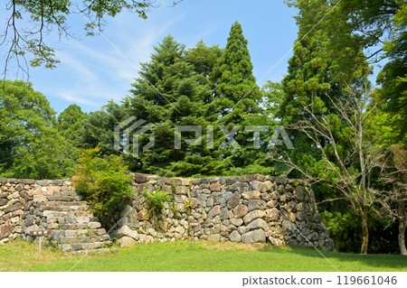 日本100大城堡·Takajyo 119661046