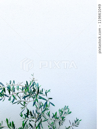 Background image of turquoise olive branches and leaves growing in front of a pale blue wall Background image of turquoise olive branches and leaves growing in front of a pale blue wall 119661049