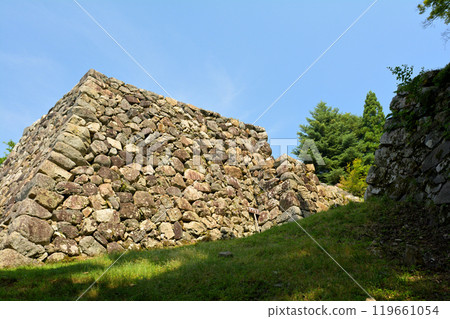Japan 100 Great castle · Takajyo 119661054