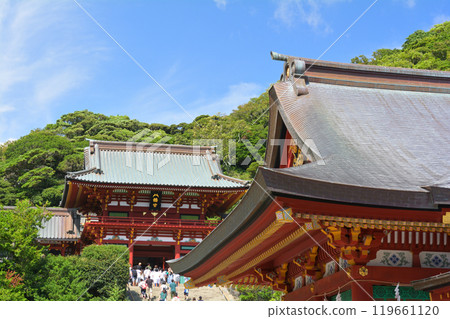 鎌倉·鶴岡八幡宮 119661120