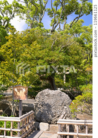 Kamakura · Tsurugaoka Hachimangu Shrine 119661125