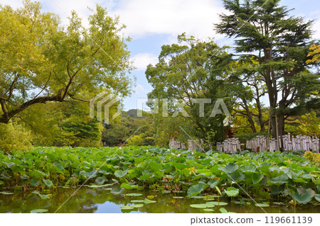 Kamakura · Tsurugaoka Hachimangu Shrine 119661139