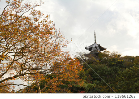 Yokohama Sankeien Garden 119661262