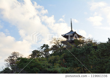 橫濱三溪園 橫濱三溪園 119661336