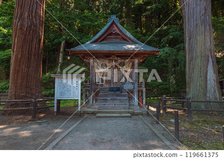 Aizuwakamatsu Iimoriyama Itsukushima Shrine and Couple Cedars 119661375