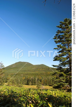 Mt. Usui Mt. Usui 119661524