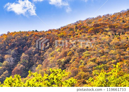 宮城藏王的紅葉、從宮城縣藏王町烏帽滑雪場看到的五星山方向的紅葉 119661733