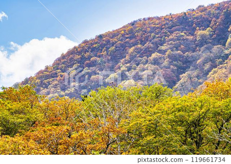 Autumn foliage in Zao, Miyagi Prefecture. Autumn foliage in the direction of Mount Eboshi seen from Eboshi Ski Resort. Zao Town, Miyagi Prefecture. 119661734