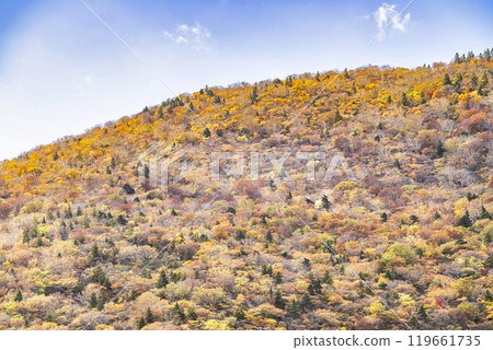 Autumn foliage in Zao, Miyagi Prefecture. Autumn foliage in the direction of Mount Eboshi seen from Eboshi Ski Resort. Zao Town, Miyagi Prefecture. Autumn foliage in Zao, Miyagi Prefecture. Autumn foliage in the direction of Mount Eboshi seen from Eboshi Ski Resort. Zao Town, Miyagi Prefecture. 119661735