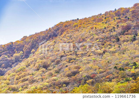 Autumn foliage in Zao, Miyagi Prefecture. Autumn foliage in the direction of Mount Eboshi seen from Eboshi Ski Resort. Zao Town, Miyagi Prefecture. 119661736
