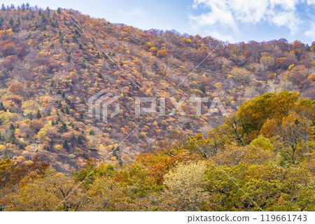 宮城藏王的紅葉、從宮城縣藏王町烏帽滑雪場看到的五星山方向的紅葉 119661743