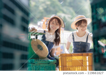 A young woman preparing harvested potatoes for shipment 119661827
