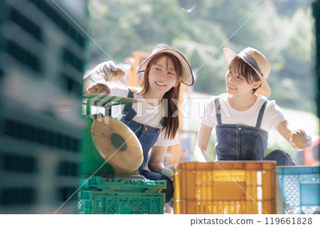 準備裝運收穫的馬鈴薯的年輕婦女 119661828