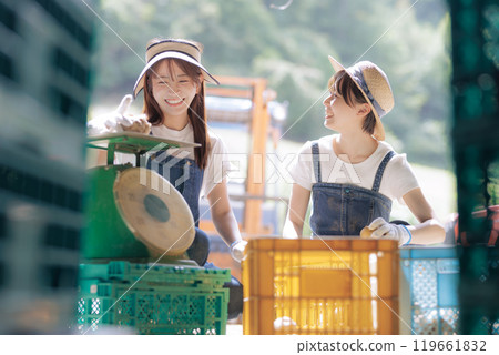 準備裝運收穫的馬鈴薯的年輕婦女 準備裝運收穫的馬鈴薯的年輕婦女 119661832