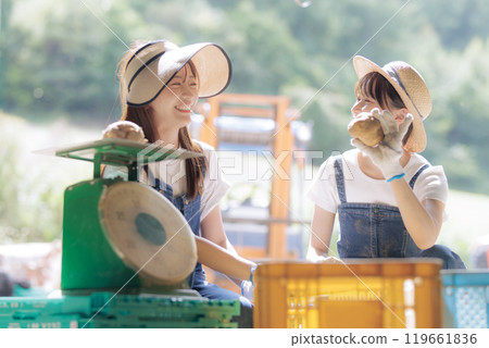 準備裝運收穫的馬鈴薯的年輕婦女 119661836