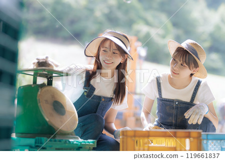準備裝運收穫的馬鈴薯的年輕婦女 119661837