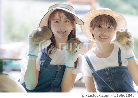 A young woman preparing harvested potatoes for shipment 119661843