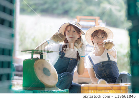 A young woman preparing harvested potatoes for shipment A young woman preparing harvested potatoes for shipment 119661846