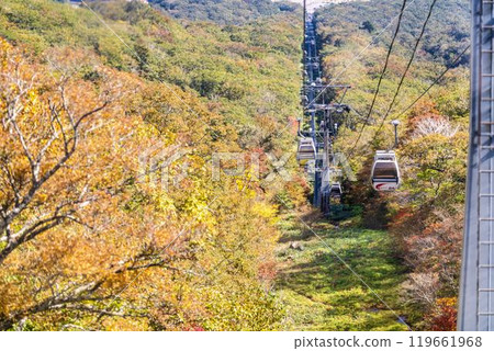 宮城縣藏王町秋天的宮城藏王，烏帽滑雪場的展望纜車 119661968