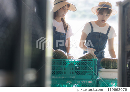 Young women preparing harvested vegetables for shipment Young women preparing harvested vegetables for shipment 119662076