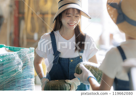 Young women preparing harvested vegetables for shipment 119662080