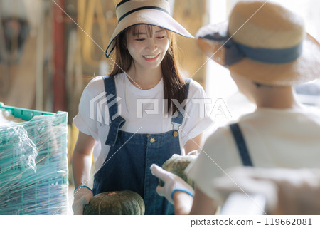 Young women preparing harvested vegetables for shipment Young women preparing harvested vegetables for shipment 119662081