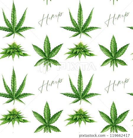Cannabis sativa and indica herb leaves, flowers seamless pattern on white background. Hemp medicine plant watercolor illustration. Cannabis plant green leaf element seamless pattern design 119662417