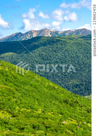 從北阿爾卑斯山的黑部五嶽登山路線上看到的雲平和明石岳； 119662458