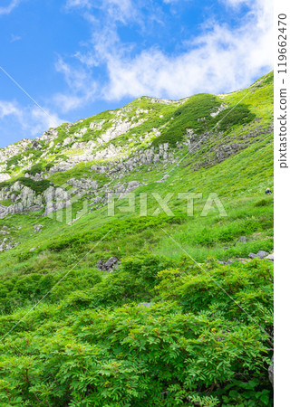 從蜿蜒的斜坡上看到的黑部五郎山 攀登北阿爾卑斯山的黑部五郎山 119662470