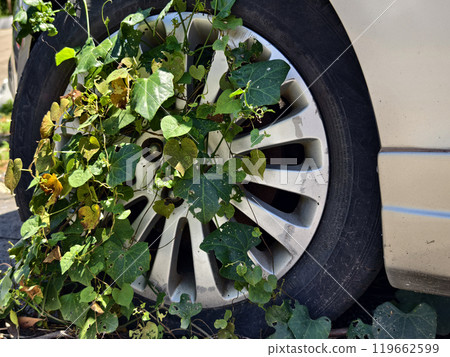A silver car that has a broken tire and is covered with leaves A silver car that has a broken tire and is covered with leaves 119662599