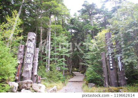 白色池塘池塘 119662614