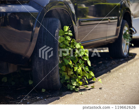 A black car that has a broken tire and is covered with leaves A black car that has a broken tire and is covered with leaves 119662626