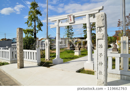 埼玉縣行田市下中條美麗的晴子神社 119662763