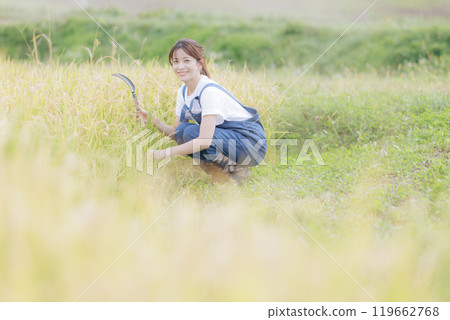 收割水稻的年輕女子 收割水稻的年輕女子 119662768